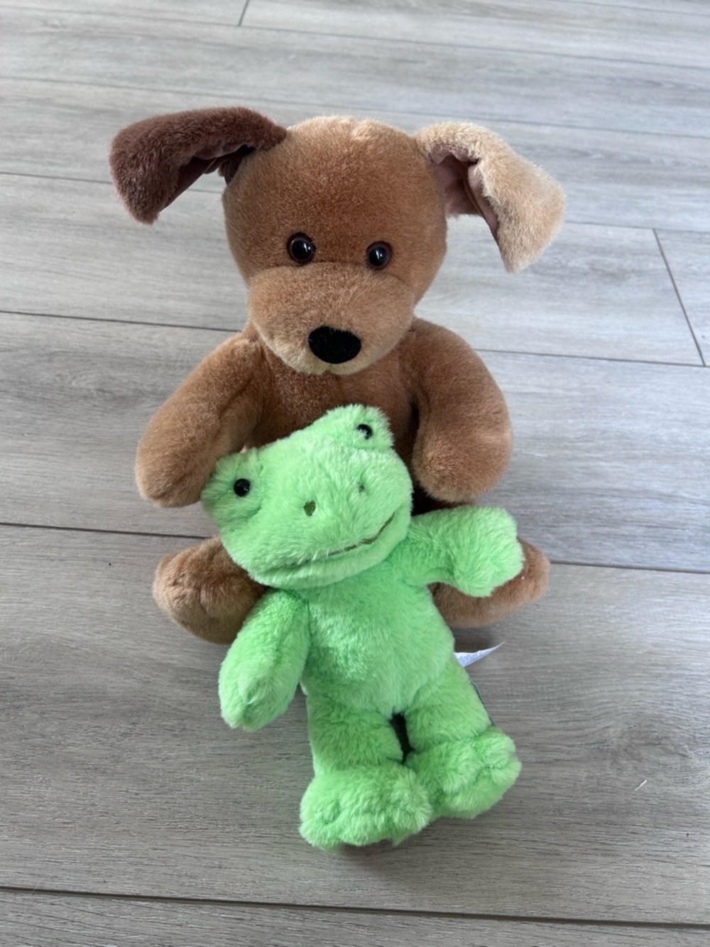 Build-A-Bear Workshop Plush Bundle Frog & Brown Sugar Dog Stuffed Animals Set